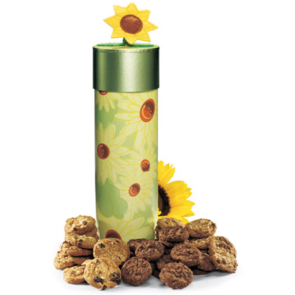 Get Well Cookie Canister