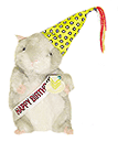 Birthday Gifts - Birthday Boy Hamster