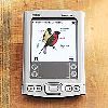 Fathers Day Gifts - National Geographic Handheld Birds PDA