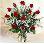One Dozen Red Roses  - JustFlowers.com