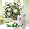 Bear with Roses - JustFlowers.com